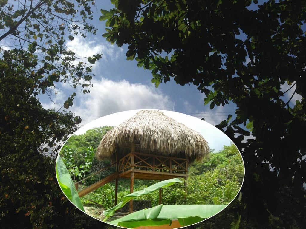 Las Mananitas De La Sierra El Zaino Extérieur photo