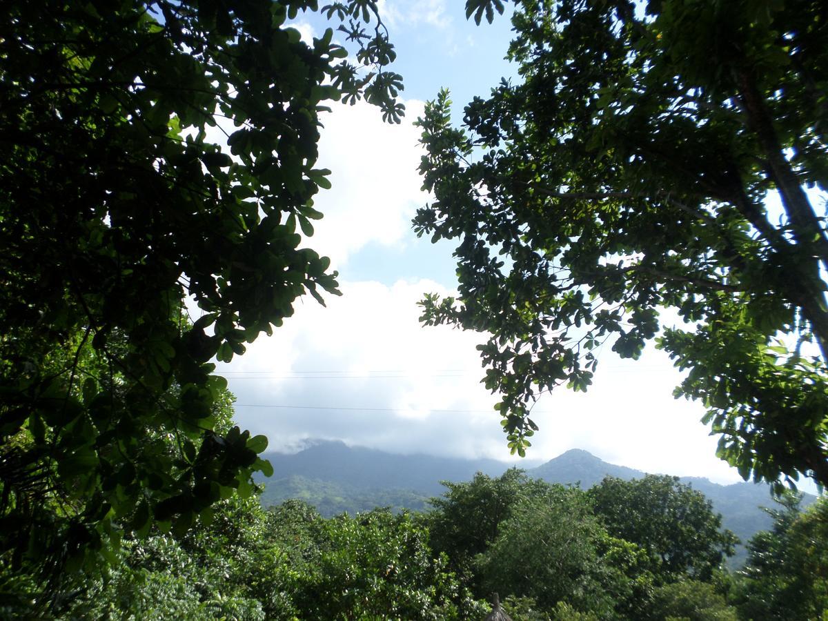 Las Mananitas De La Sierra El Zaino Extérieur photo